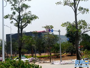 中南濱江銘悅 營(yíng)銷(xiāo)中心已初步建成 工地火熱施工