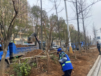 市園林和市政公用設(shè)施管護中心啟動市長虹大道綠化提升改造工程