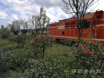 以綠為主以花為美 水鋼舊貌換新顏--六盤水市加大力度改善首鋼水鋼廠區(qū)環(huán)境打造&ldquo;花園式工廠&rdquo;
