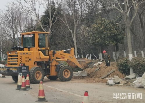 青島市區(qū)園林綠化工程有序復(fù)工，施工人員忙碌建設(shè)美麗家園